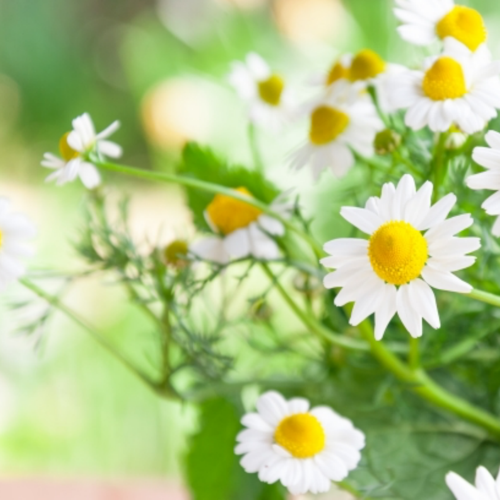 noaofficeサンプル２