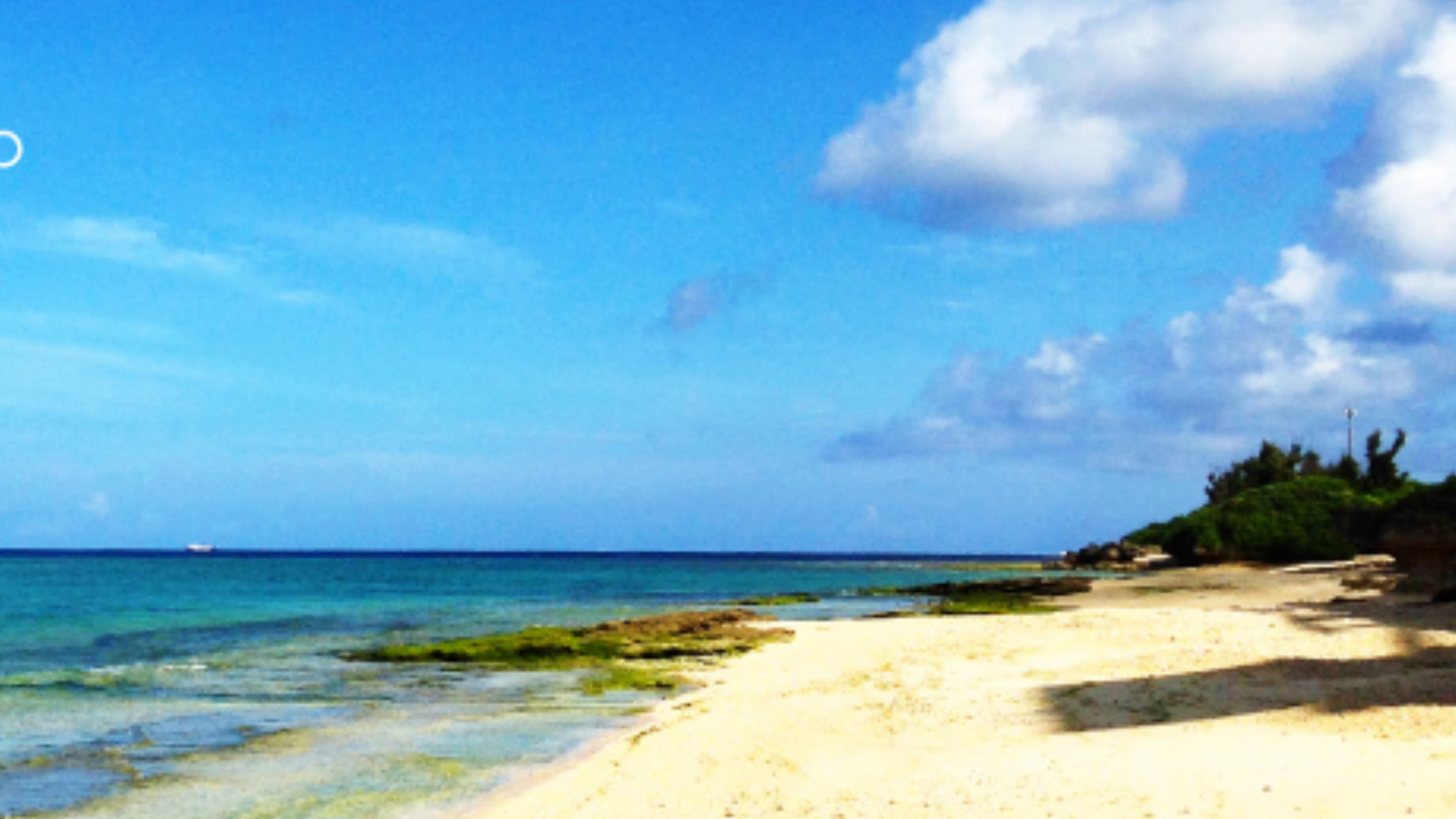 ノアオフィスサンプル